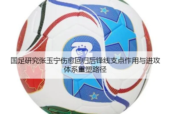 guo-zu-yan-jiu-zhang-yu-ning-shang-yu-hui-gui-hou-feng-xian-zhi-dian-zuo-yong-yu-jin-gong-ti-xi-zhong-su-lu-jing-3-682.jpg